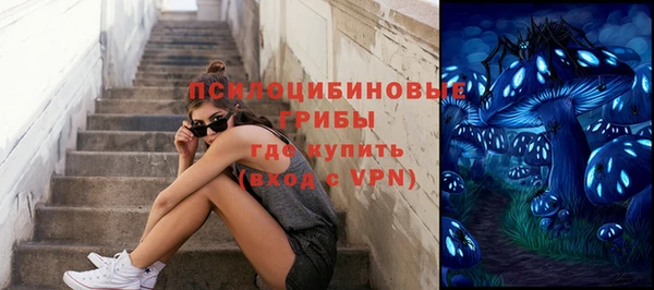 крисы Нея